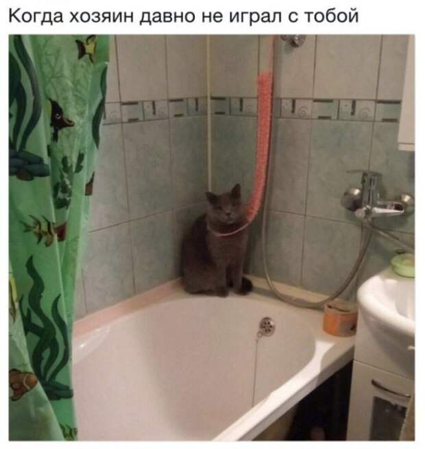 Дело было так… (25 фото)