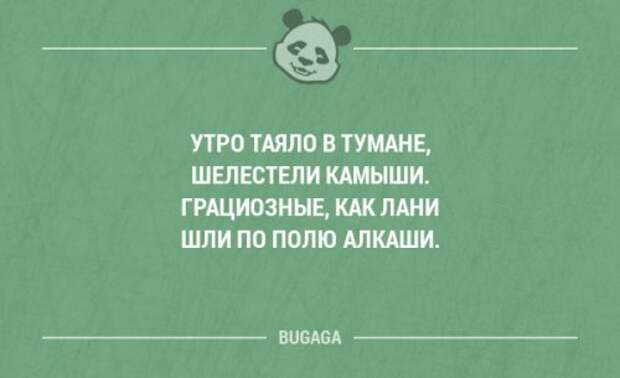Забавные фразы в картинках с надписями. Часть 38 (20 шт)
