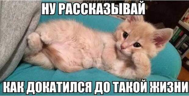 анекдоты в картинках смешные до слез