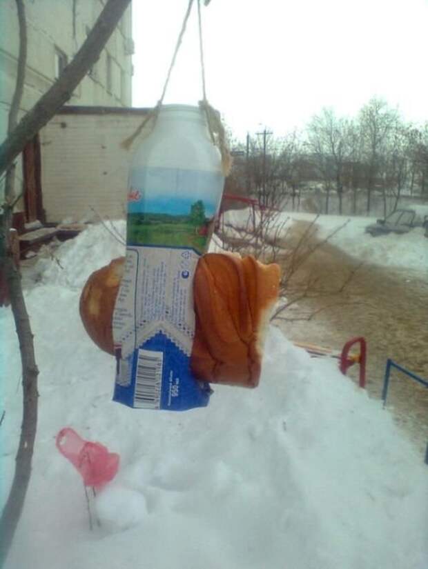 Прикольные картинки абавсём:D (01.04.16) Прикольные картинки абавсём:D (01.04.16)