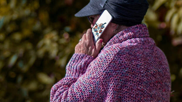 МВД: в Петербурге пенсионерка за пять месяцев отдала мошенникам более ₽26 млн