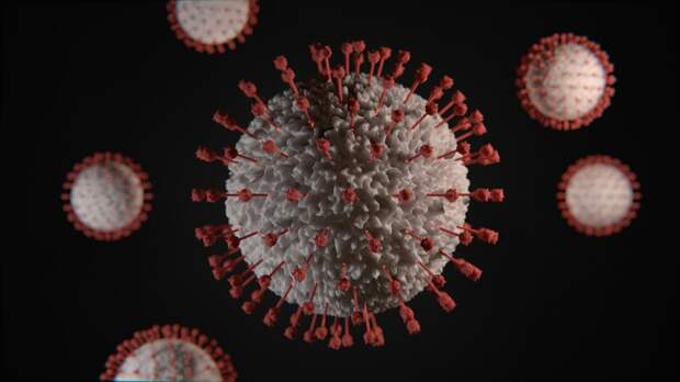 В России обнаружен новый вариант коронавируса FLiRT, который не представляет угрозы здоровью