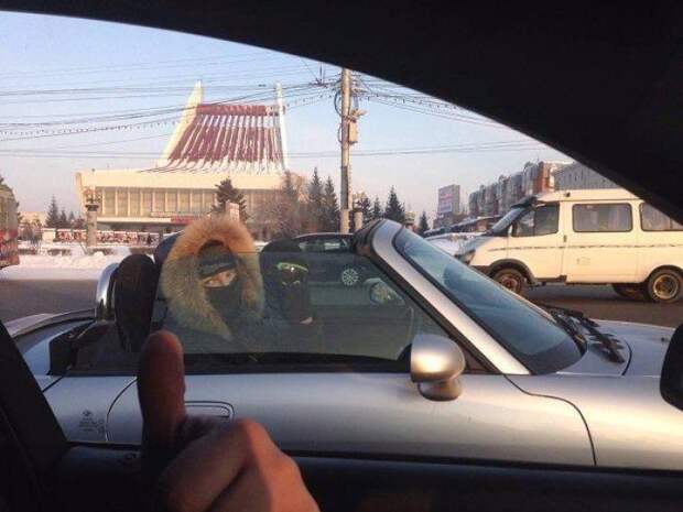 Подборка прикольных картинок