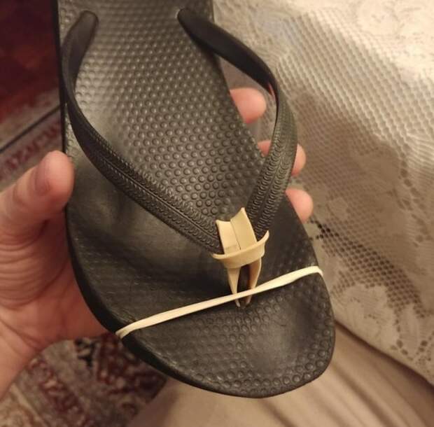 20 человек, которые прибыли к нам прямиком из будущего 20 человек, которые прибыли к нам прямиком из будущего