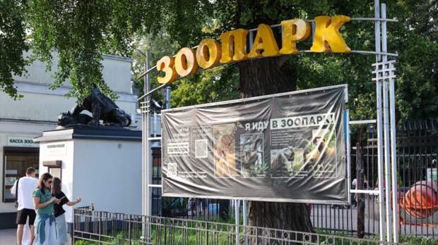 В Калининграде поймали сбежавшего из зоопарка "тигра", его роль исполнил актер