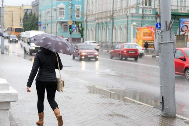 Ветер усилится в Рязанской области, местами пройдут сильные дожди