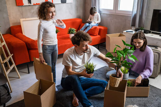 "Яндекс Аренда": съемные трехкомнатные квартиры подешевели на 3,9% по итогам января