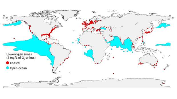 Зоны смерти в Мировом океане: почему здесь никто не живет