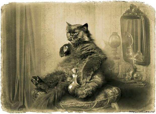 3925311_Neprevzoidennie_citati_iz_romana_Master_i_Margarita (698x511, 206Kb)