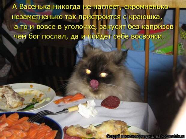 Забавные котоматрицы