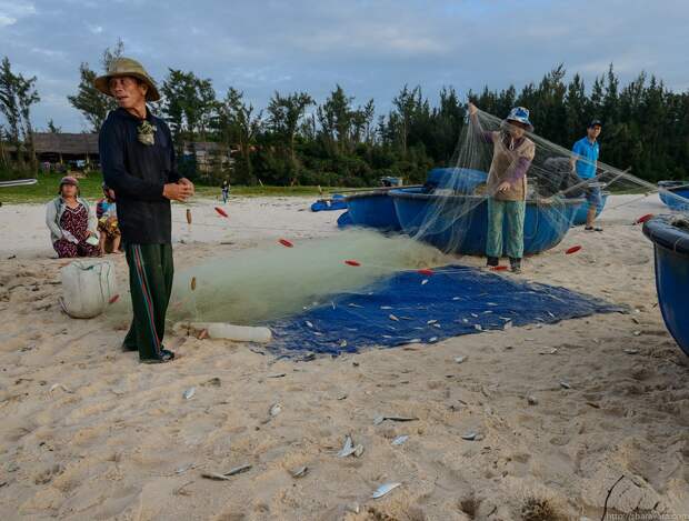 Как живут вьетнамские рыбаки  вьетнам, рыбаки