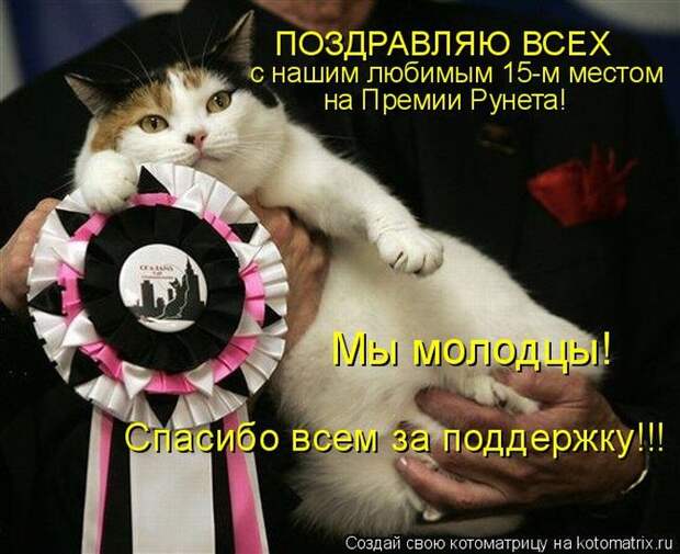 Мысли вслух :)