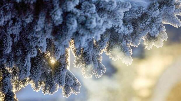 На юг России обрушатся аномальные морозы