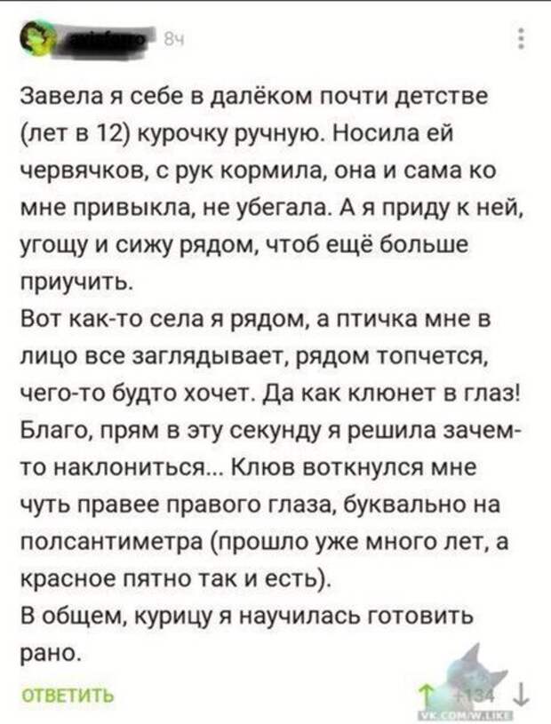 Смешные картинки с надписям весёлое, смешное, смешные картинки, юмор