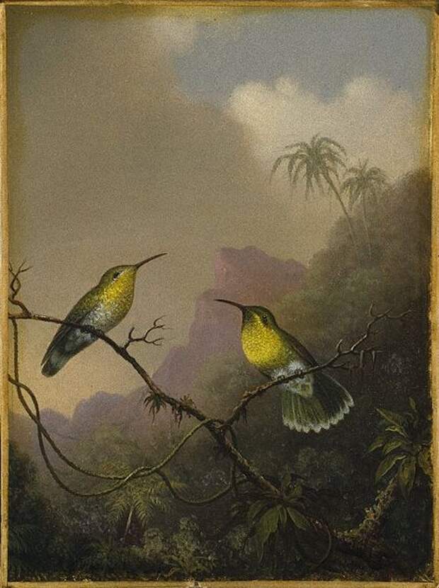 File:Brooklyn Museum - Two Humming Birds "Copper-tailed Amazili" - Martin Johnson Heade.jpg