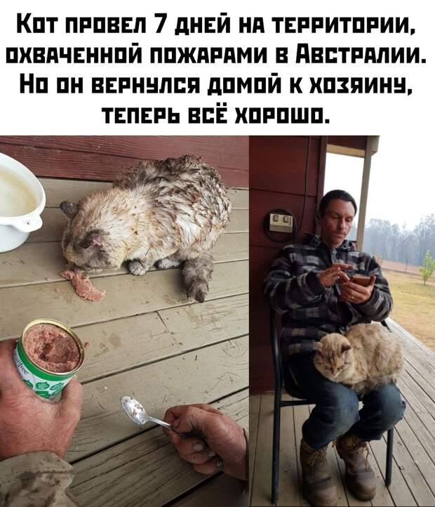 kartinok-prikolnyh-podborka-kartinki-smeshnye-kartinki-fotoprikoly