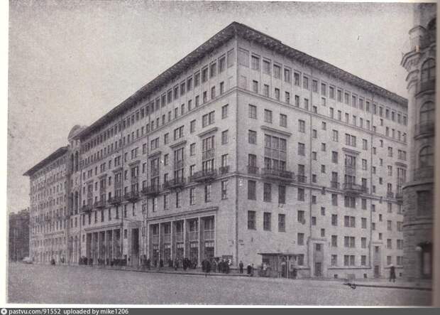 Московские птички 19