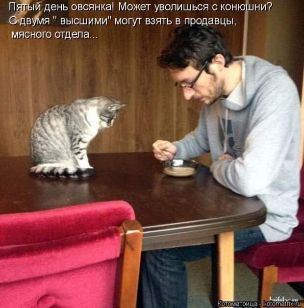 Выпуск 272: Красочные и улыбающие котоматрицы (30 фото) Выпуск 272: Красочные и улыбающие котоматрицы (30 фото)