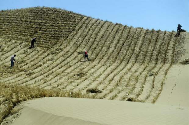 Для чего китайцы выложили тысячи квадратов на песке в пустыне Тэнгэр