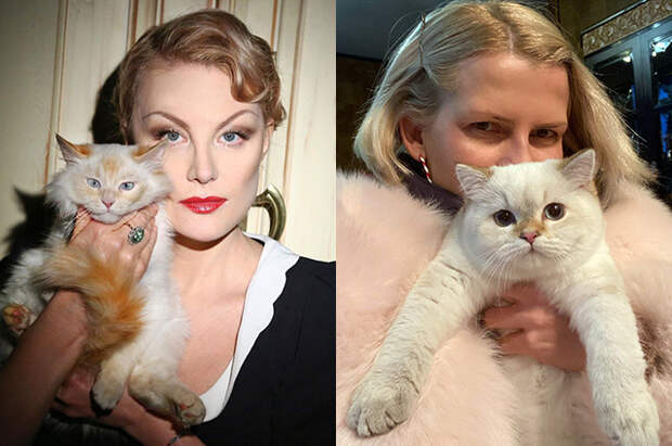 Битва домашних питомцев: кот Ренаты Литвиновой против кота Полины Киценко