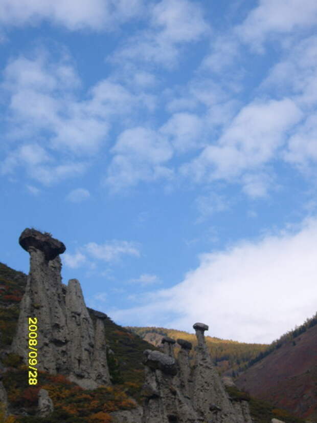 Думает ли наш мозг?