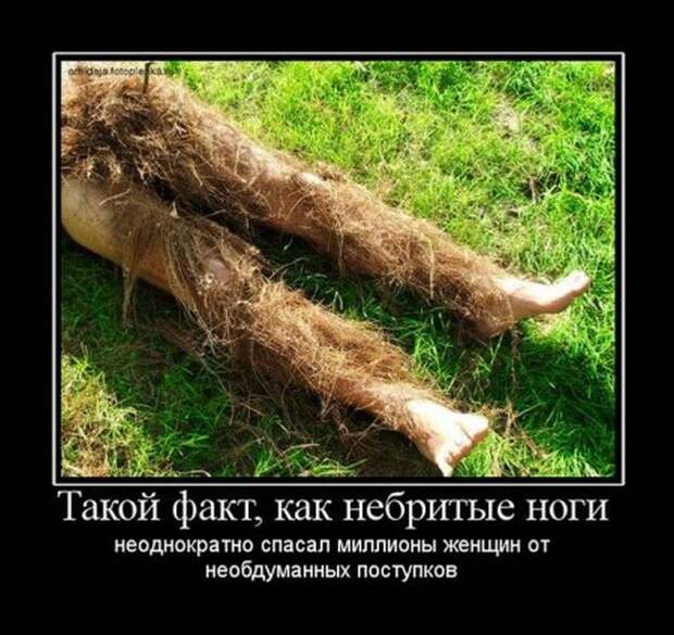 Демотиваторы (30 фото)