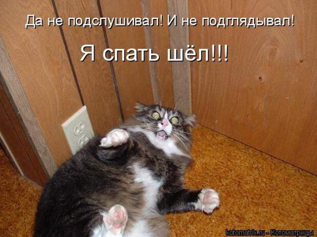 Мысли вслух :)