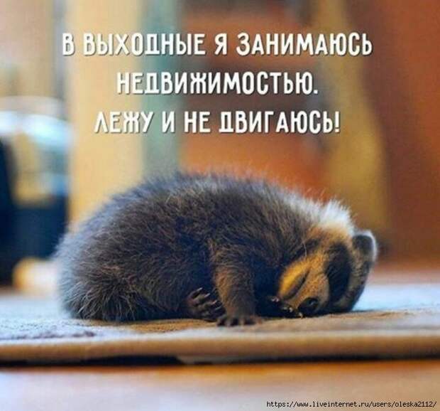 выходные1 (700x653, 202Kb)