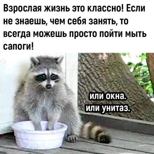 Подборка легкого юмора для заряда позитивом