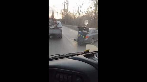 Video: video (1).mp4