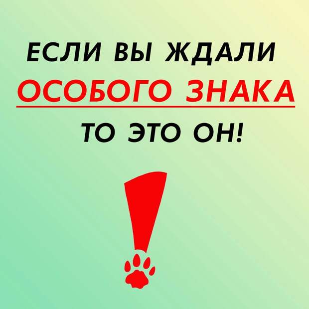 Она такая славная, она так давно ждёт, подарите ей дом!