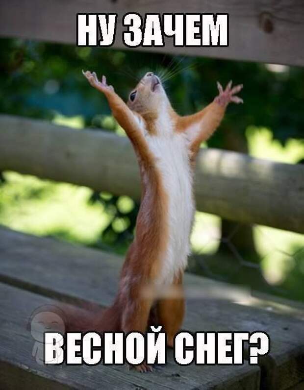 Всяко - разно 21 ))) Всяко - разно 21 )))