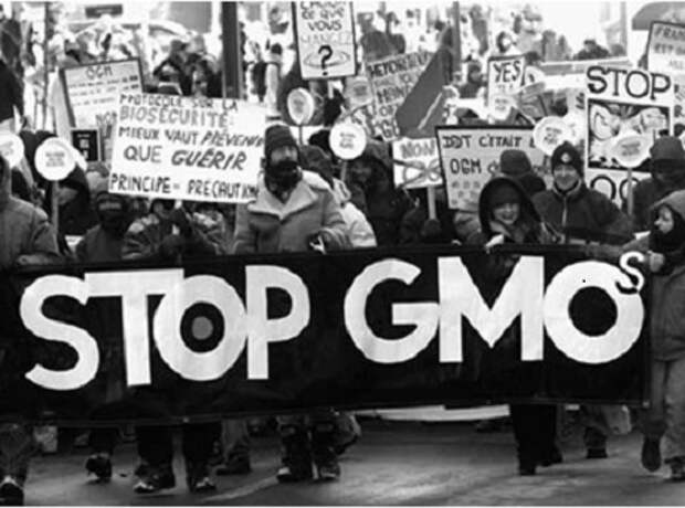 Протестующие против ГМО во Франции.