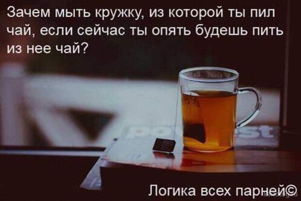 Прикольные шутки и высказывания (35 картинок) Прикольные шутки и высказывания (35 картинок)