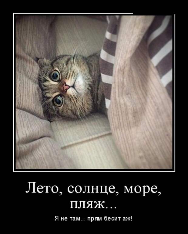 Демотиваторы (30 фото)