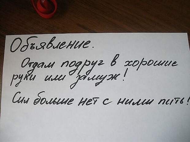 Поэтому надо их сбагрить в хорошие руки, отдам даром, прикол, юмор