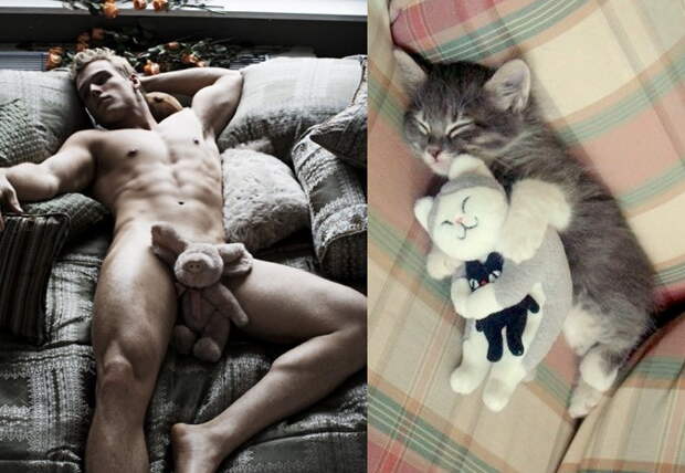 Мужики и коты 