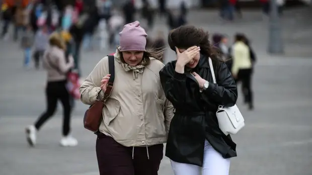 В Москве объявлено экстренное предупреждение из‑за порывистого ветра