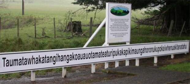 5.jpg 5.jpg