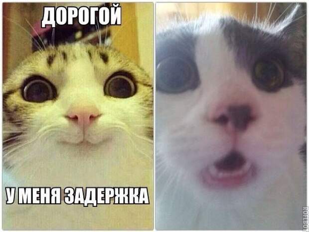 Смешные картинки