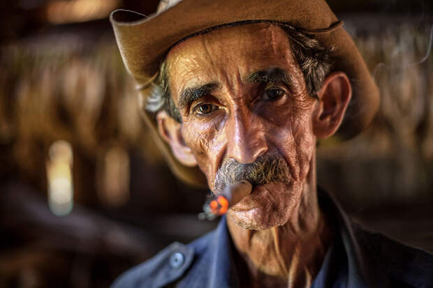 Кубинский фермер по выращиванию табака