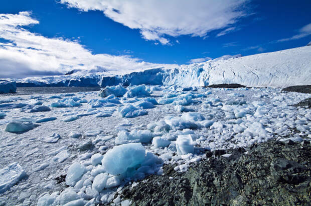 Удивительный мир Антарктики от Джейсона Эдвардса