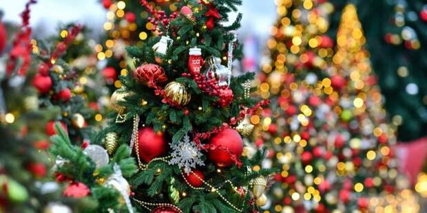 А вы любите сюрпризы? Мнение жителей Марьино