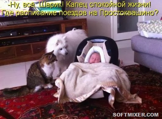 ae19eb23a8f1da9d7e31d4ae5c3_prev