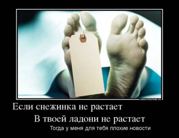 Демотиваторы приколы, смотри и покоряй.