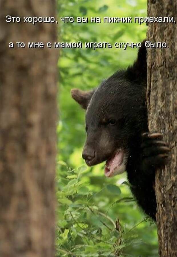 Мысли вслух :)