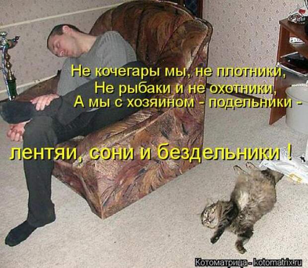 Котоматрицы