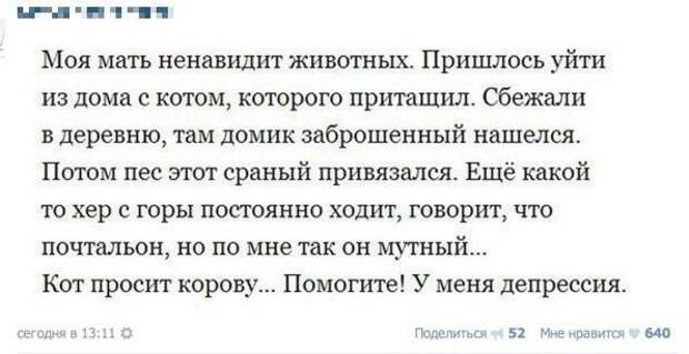Картинки и мемы для настроения