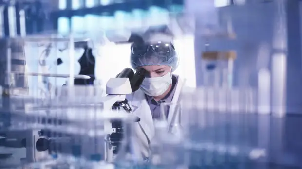 Экологичные и безопасные: российские учёные создали невидимые метки для защиты товаров от подделок