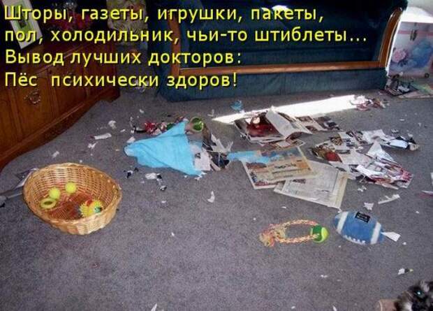Мысли вслух :)